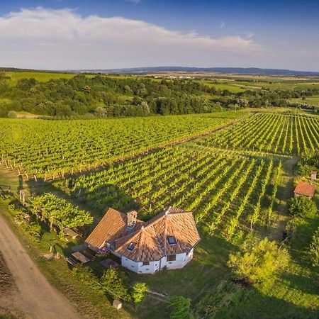 Robinson Vila Kitokret Kutjevo 외부 사진