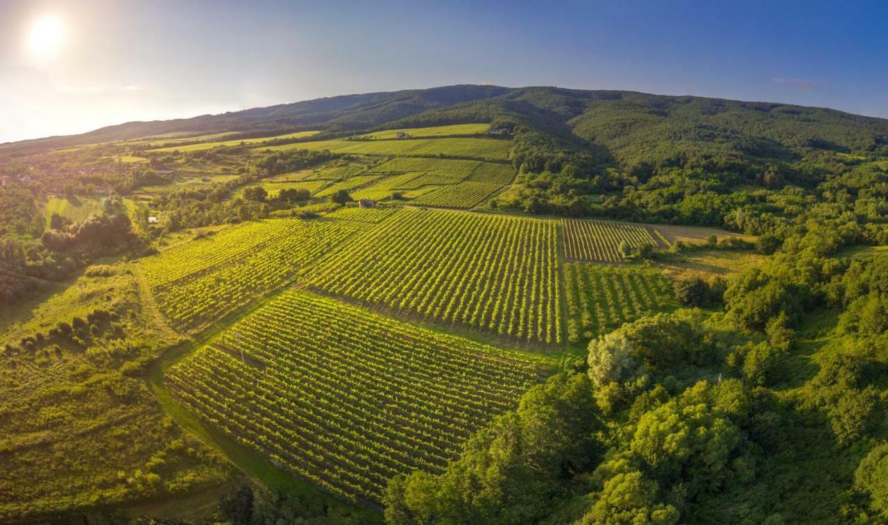 Robinson Vila Kitokret Kutjevo 외부 사진
