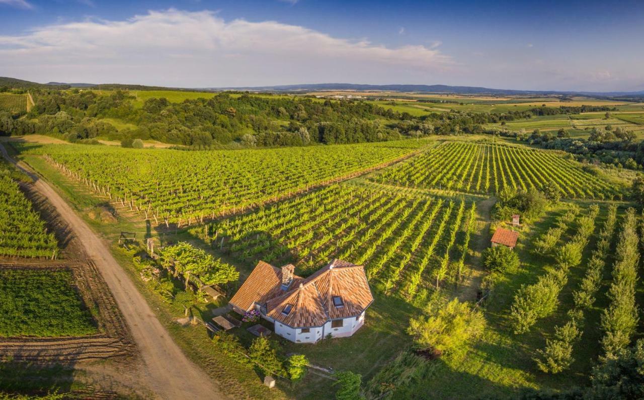Robinson Vila Kitokret Kutjevo 외부 사진