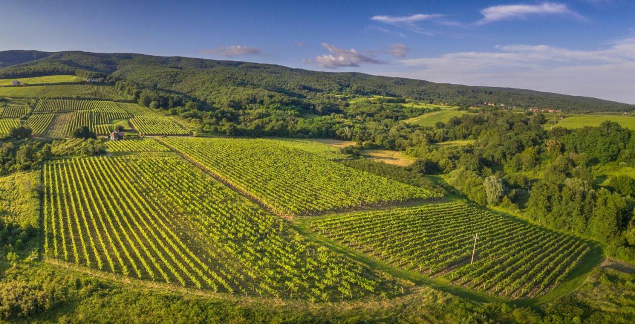 Robinson Vila Kitokret Kutjevo 외부 사진