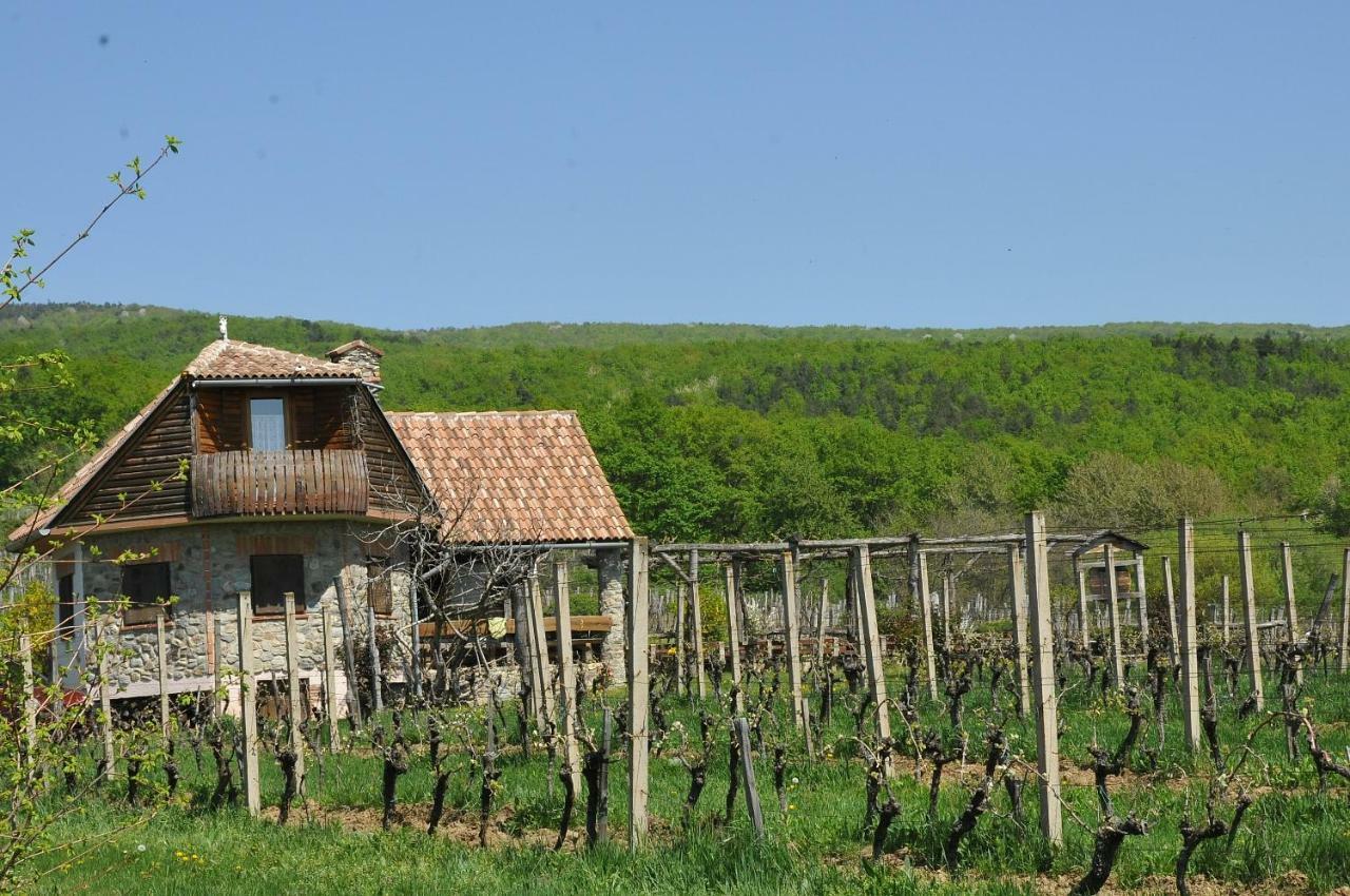 Robinson Vila Kitokret Kutjevo 외부 사진