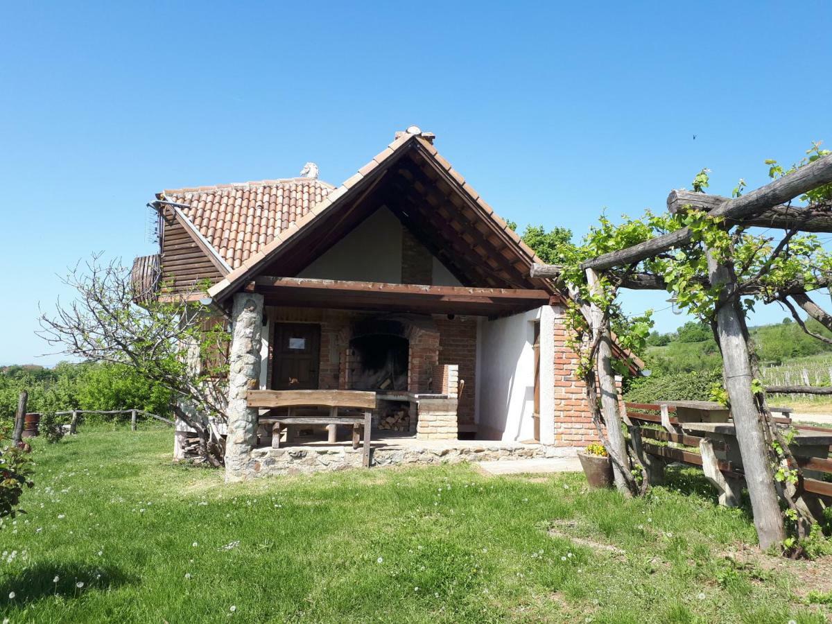 Robinson Vila Kitokret Kutjevo 외부 사진